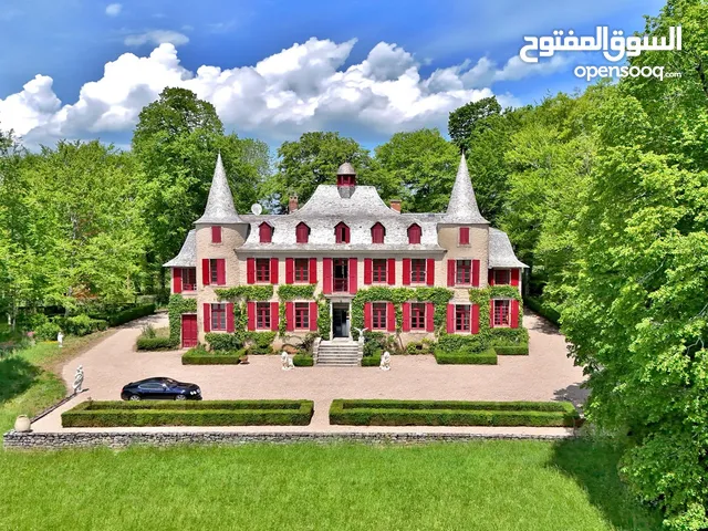 Magnificent Authentic Mansion in the Heart of French Nature.