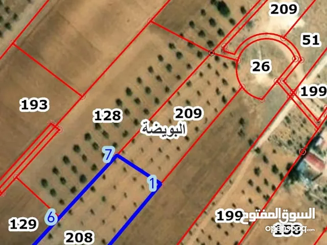Farm Land for Sale in Mafraq Rhab
