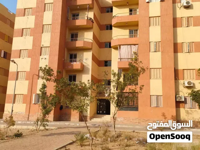 شقه اسكان اجتماعي مدينه بدر حي النرجس