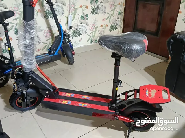 E-Scooter E-10pro