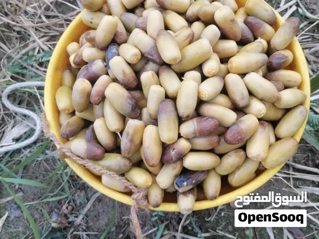 يوجد رطب بشكل يومي بطلب