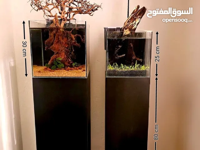 aquascape tanks