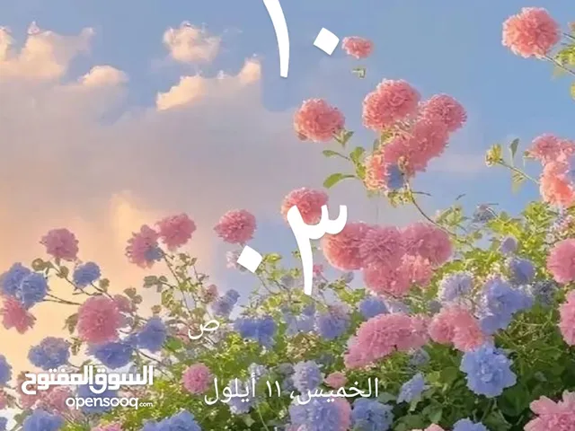 Hala atawneh