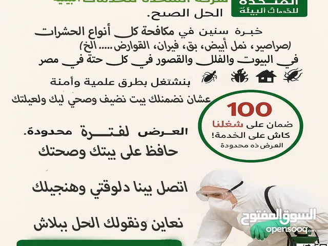 عايز تخلص من الحشرات بجد وبضمان؟ كلم "المتحدة" وهتاخد كاش باك كمان!