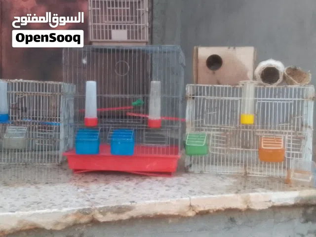 تلاته أقفاص بي مستلزمات هم أقرا الوصف
