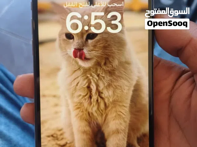 iPhone XS Max