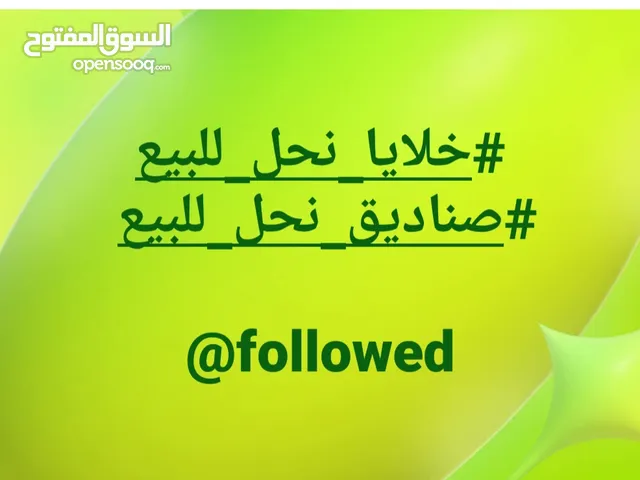 خلايا نحل / صناديق