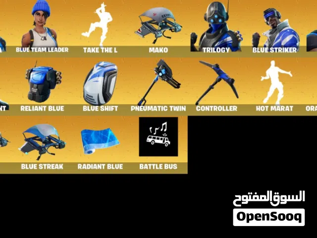 حساب فورت نايت نادر ورخيص فل أكسس