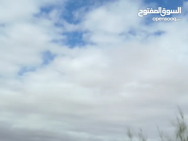 قعطع خارجية و داخلية