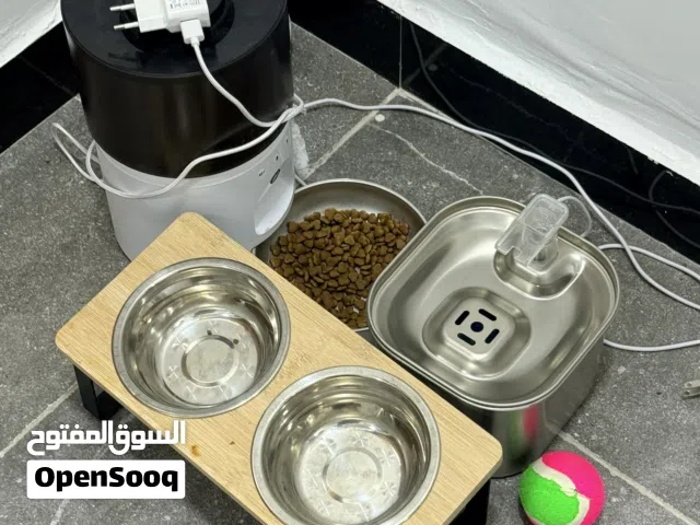 مستلزمات قطط