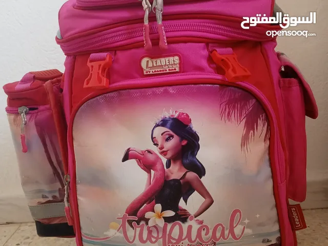 محفظة المدرسية عبارة عن حقيبة ذات عجلات مخصصة للأطفال،