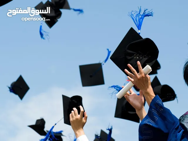 Bosnian Language Teacher & Instructor