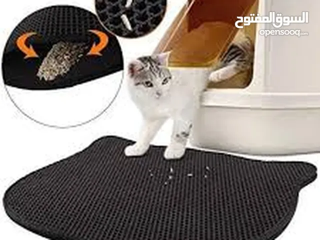 دعاسة القطط توصع امام التر بوكس