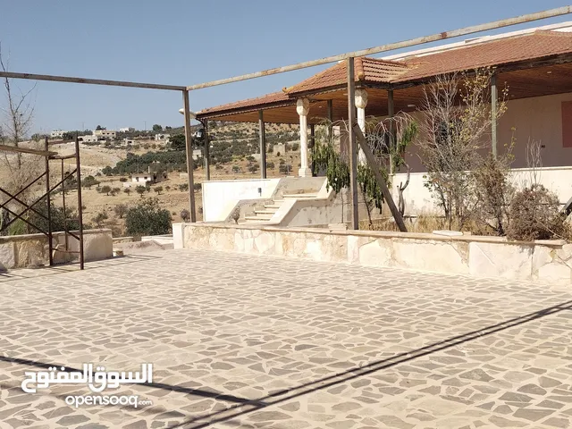 Farm Land for Sale in Zarqa Sarout