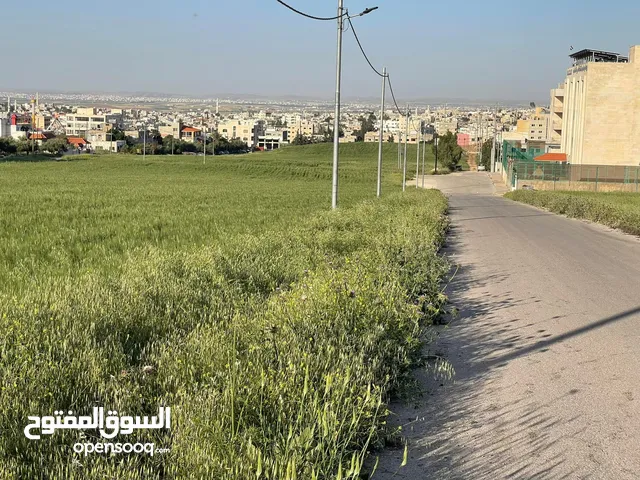 ارض 750م الحصن جنوب الراهبات حوض دبات ابوالنصر منطقة العالية مقابل الهابي لاند وقرب مدارس الاسلامية