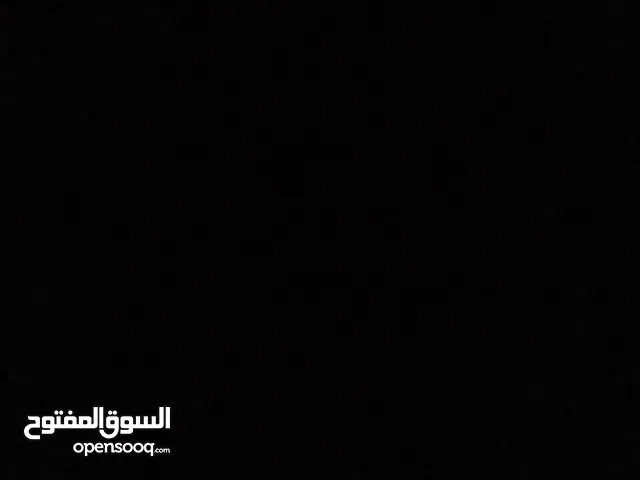 اذا يوجد خيل للبيع بسعر 230 أو تحت