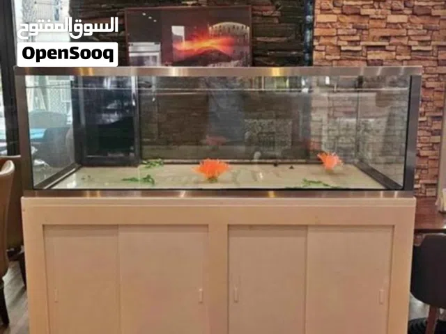 حوض سمك بحري 1200 لتر بحاله ممتازه