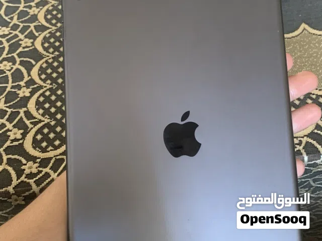 فلسطين نابلس