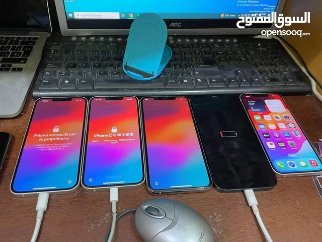 Apple Others 256 GB in Sana'a