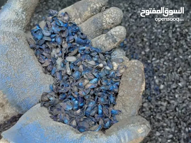 كربون قشرة الفستق من الدرجة الأولى