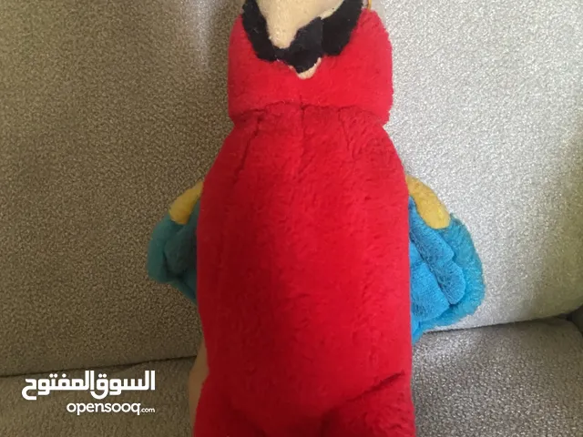 ببغاء بجنن لااطفال فاخر جداً