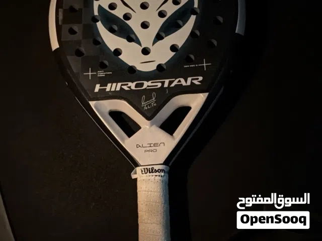 مضارب بادل الاثنين