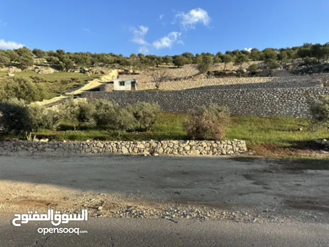 Farm Land for Sale in Zarqa Sarout