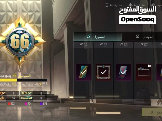 Pubg Accounts and Characters for Sale in Tulkarm