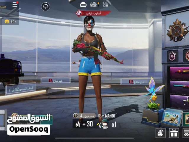 Pubg Accounts and Characters for Sale in Ramtha