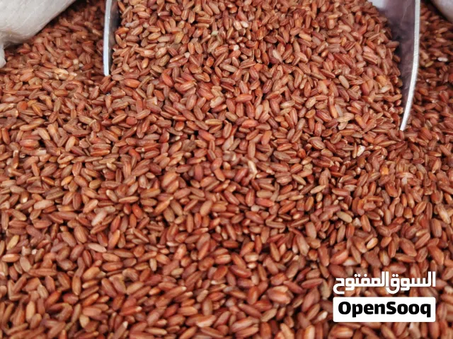 عيش حساوي القرين