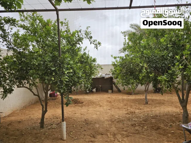 Mixed Use Land for Sale in Tripoli Wadi Al-Rabi