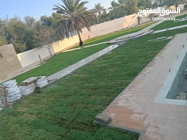 معشب طبيعي أمريكى بجميع انواعه بلس بيلم وبرمودا وجميع انواع الاشجار والنباتات الزينه