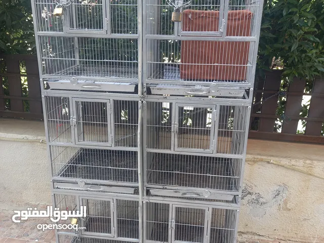 مجموعه اقفاص قفص كبير وملطش او مصيده عصافير وقفص هامستر للبيع القفص الكبير طول 135 العرض 110 متر