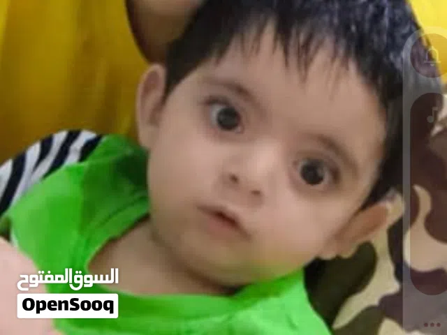 سجاد حاجی زاده