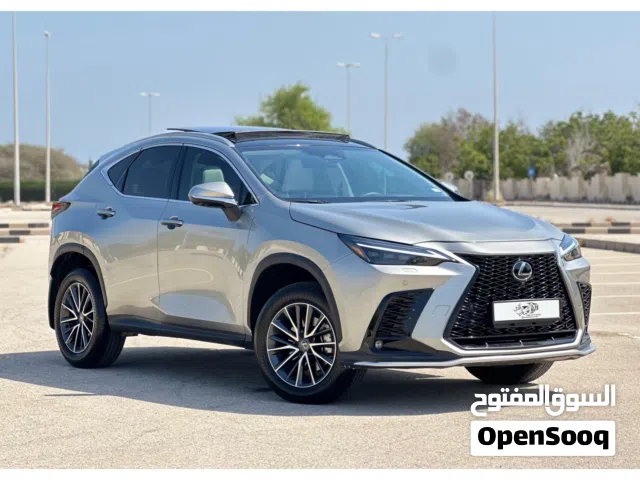 2025 Lexus NX NX 350