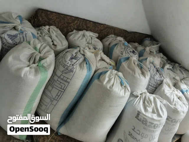 قمح نخب نظيف للبيع