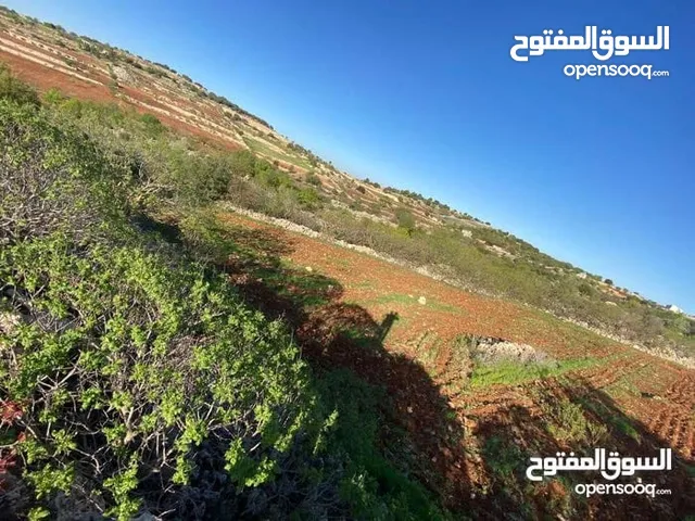 Mixed Use Land for Sale in Ajloun I'bbeen