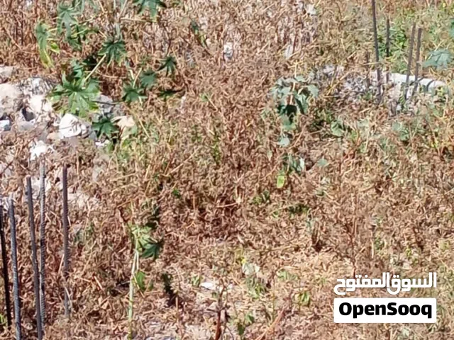 Mixed Use Land for Sale in Taiz Other