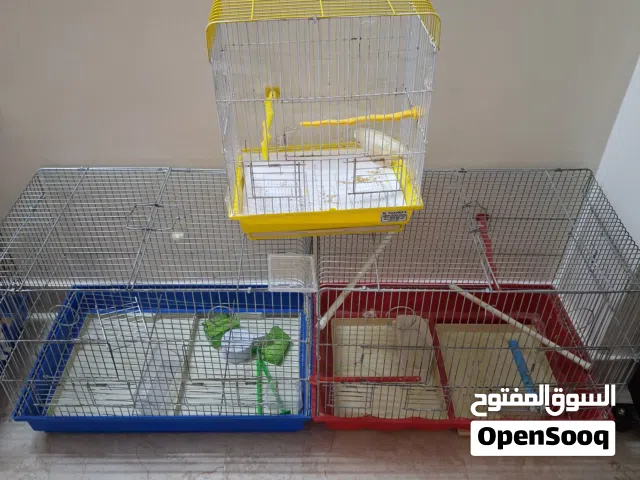 اقفاص طيور للبيع