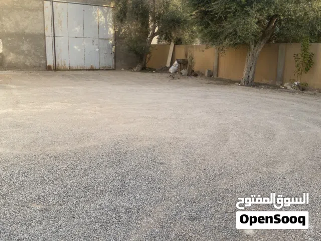 هنقر زينقو للايجار