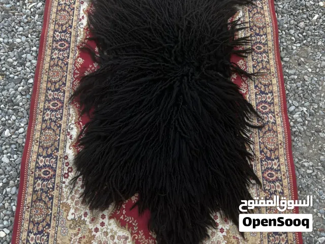 جاعد للبيع