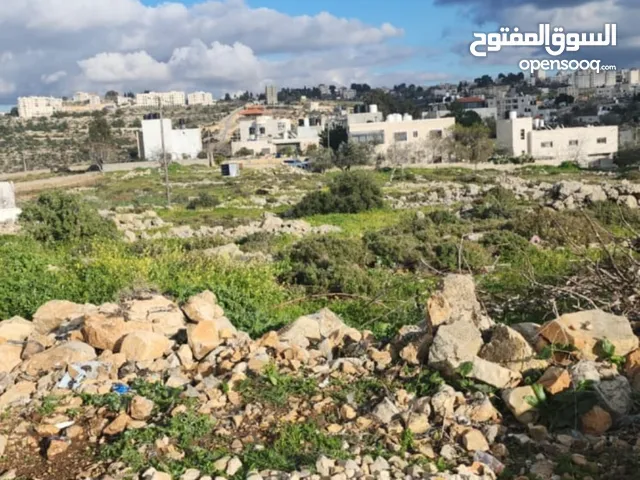 ارض للبيع نص دونم صالحه للبيناء في منطقه بيرزيت