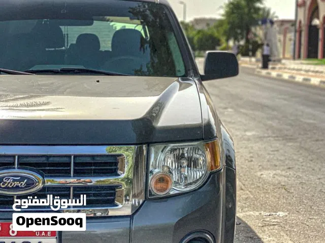 Used Ford Escape in Al Ain