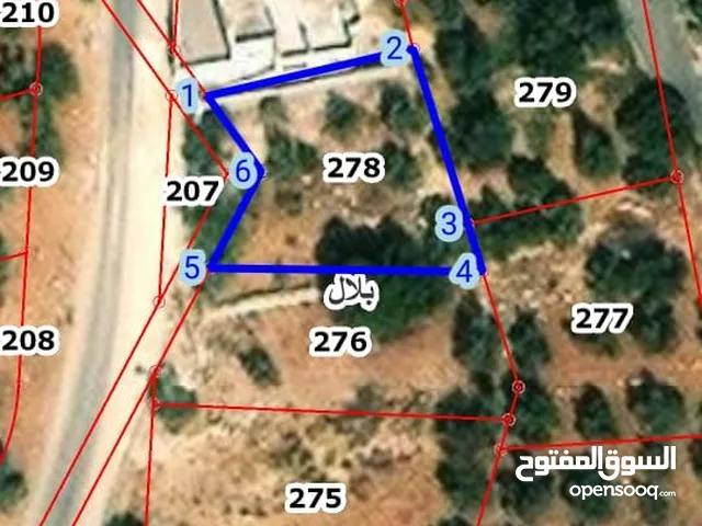 قطعة ارض في بدر الجديد - ابو مخيمر - 60 الف دينار - مفروزة - من المالك مباشرة