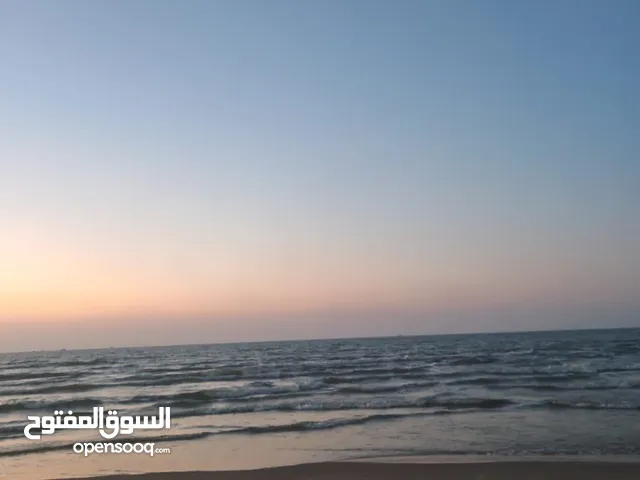 مطلوب أشخاص لمشاركة سكن الاتصال ع رقم