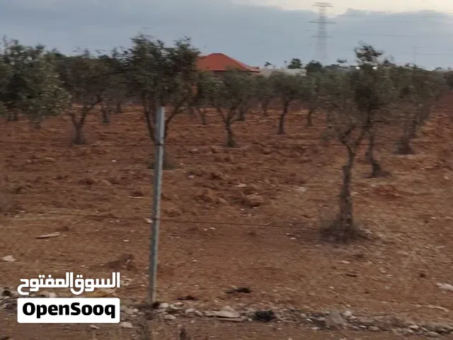 ارض بام العمد حوض الحوام موقع مميز علي شارعين مساحه 4500 متر خارج التنظيم محاطه بالفلل