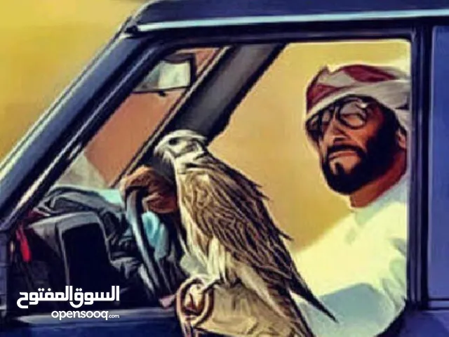 Marwan Alhallami