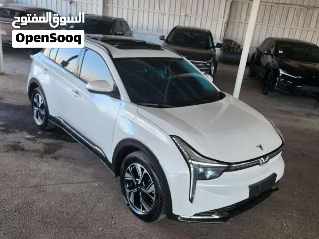 2022 Neta U Pro 400