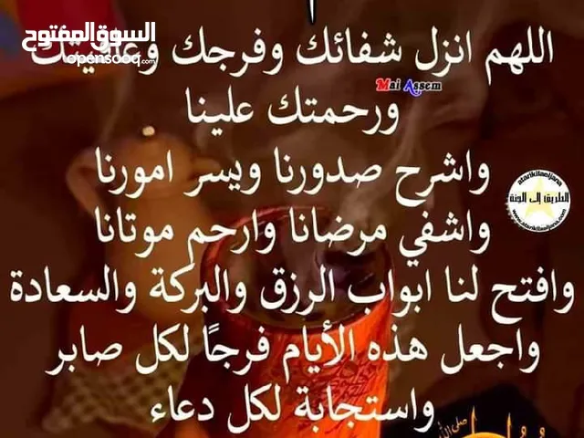 ثمن جاجات وديك للبيع 50 دينار