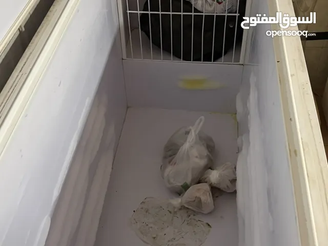 Other Freezers in Northern Governorate